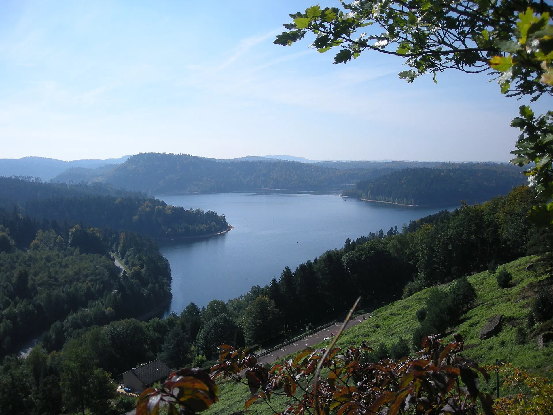 Les bras du lac de Pierre-Percée vus d’en haut, entre des collines couvertes de forêt